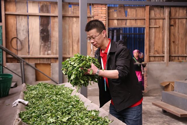 正皓老班章有机饼茶普洱茶品质特点