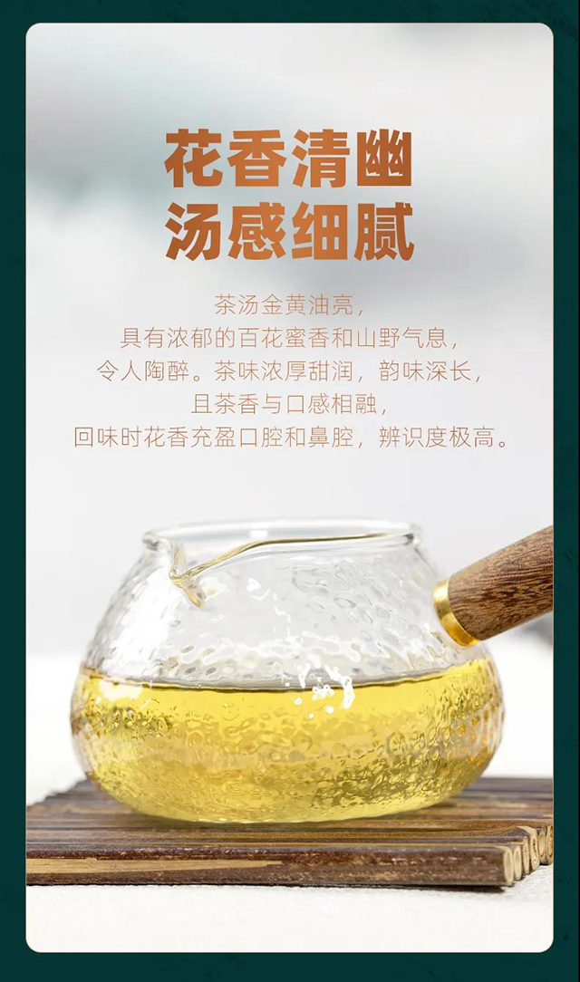 老同志2024览春系列名山纯料普洱茶品质特点