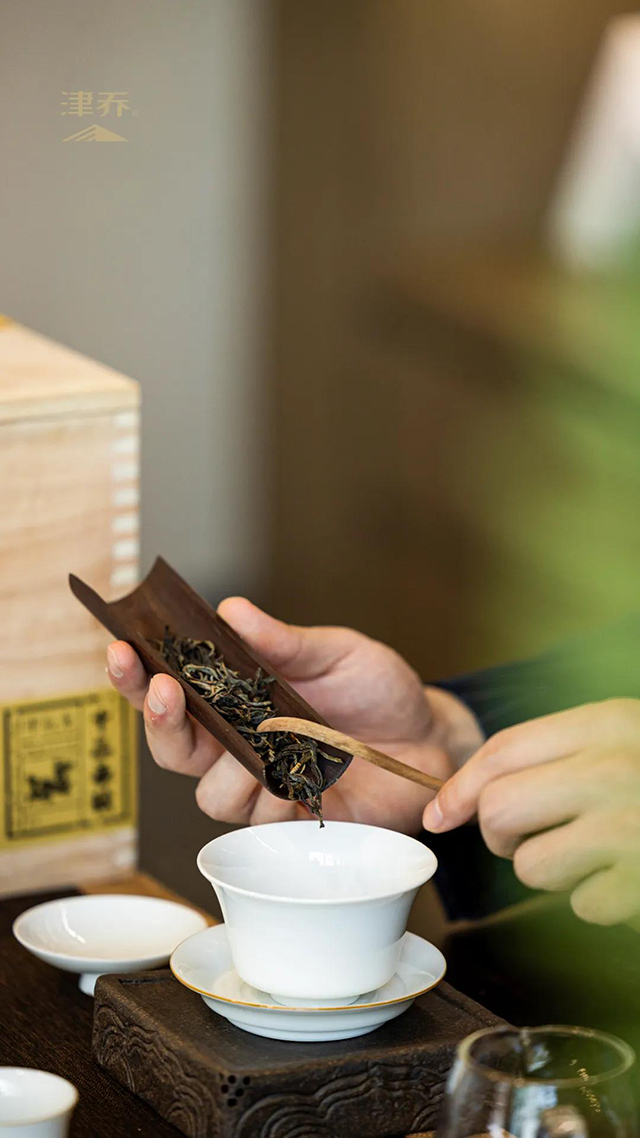 津乔普洱茶