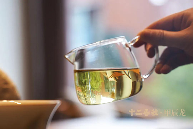 津乔普洱茶