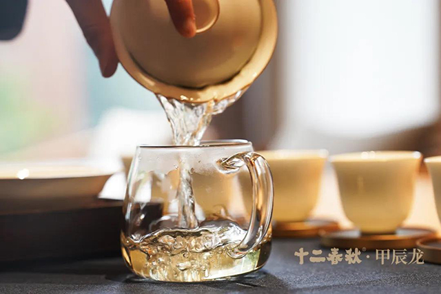 津乔普洱茶