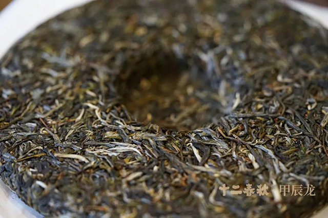 津乔普洱茶