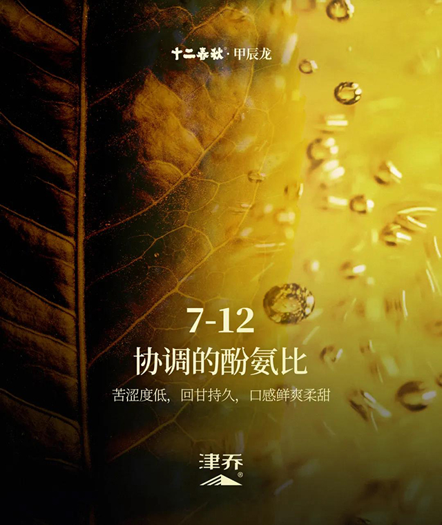 津乔普洱茶