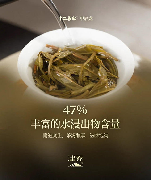 津乔普洱茶