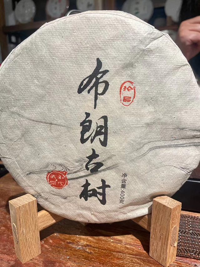 图为老郎河2006年布朗古树茶