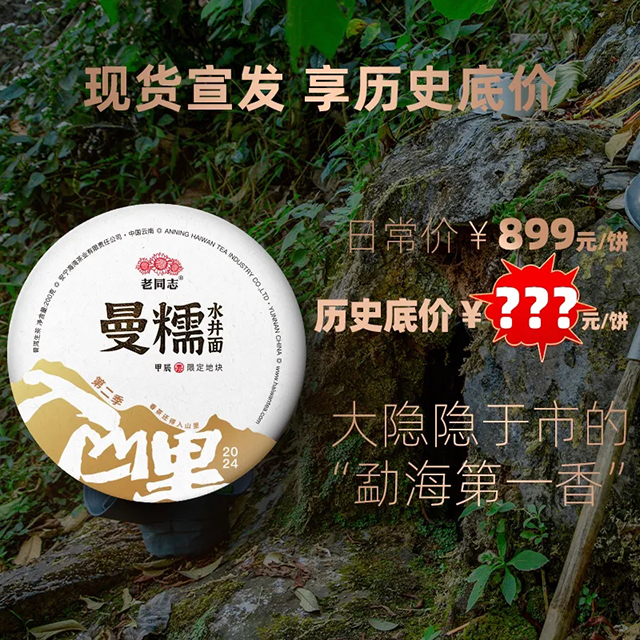 老同志入山里春茶发布会