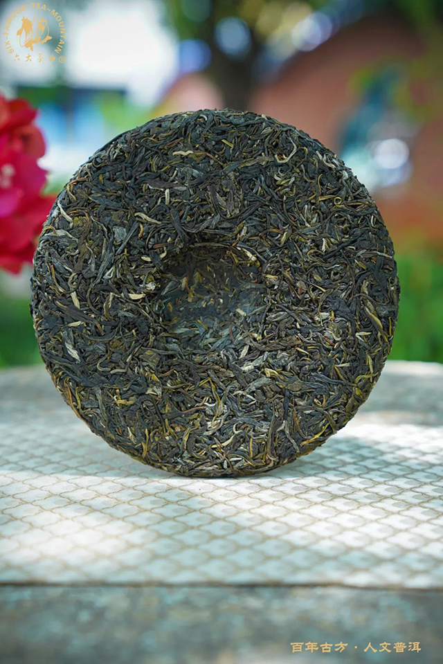 六大茶山二十四节气立夏茶邦崴普洱茶品质特点