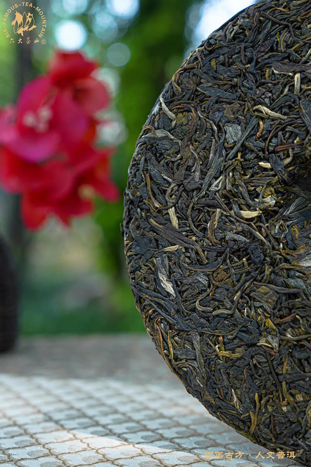 六大茶山二十四节气立夏茶邦崴普洱茶品质特点