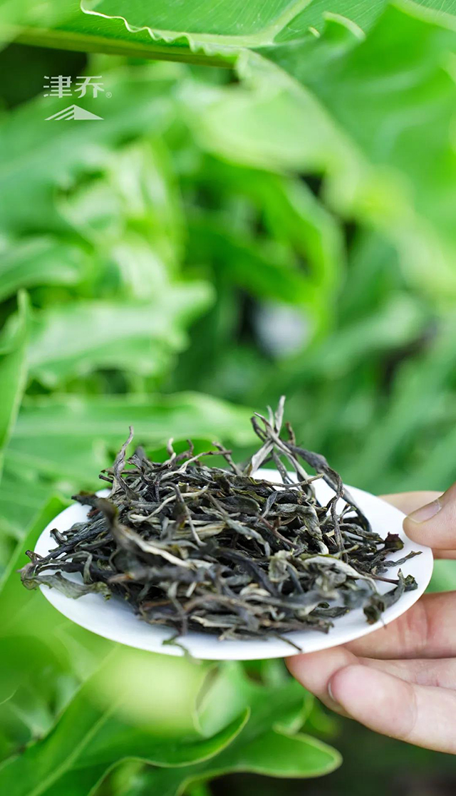 津乔普洱冰岛春藏普洱茶品质特点