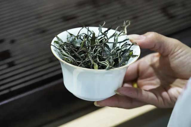 津乔普洱冰岛春藏普洱茶品质特点
