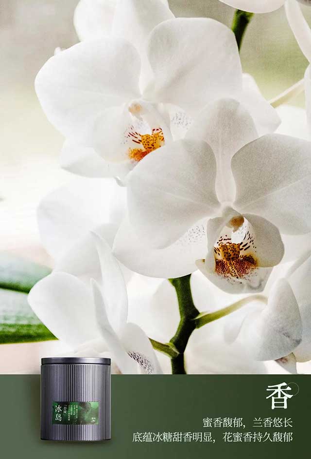 津乔普洱冰岛春藏普洱茶品质特点