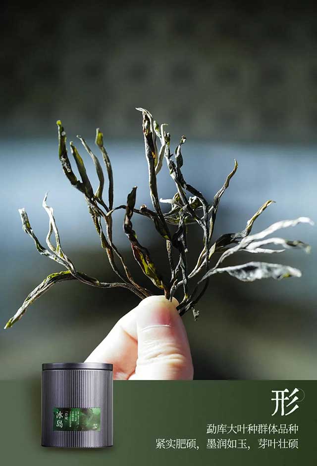 津乔普洱冰岛春藏普洱茶品质特点