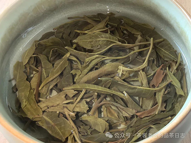 吾茶共饮2024年顶级拼配普洱茶品质特点