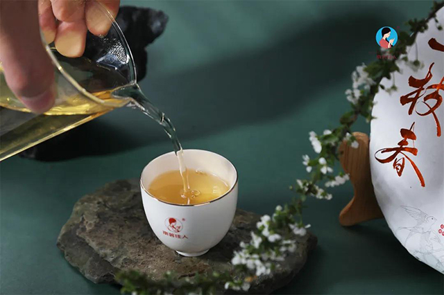 南茗佳人普洱茶