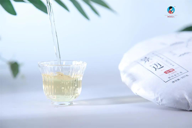 南茗佳人普洱茶