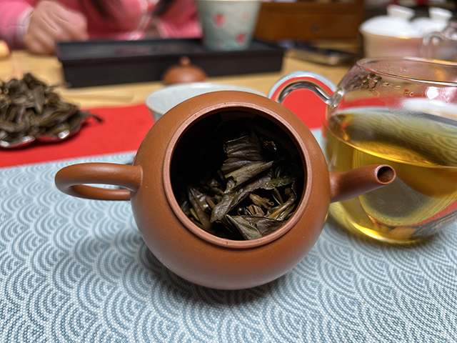 图为2010年易武刮风寨茶树王古树茶