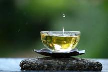 龙园茶业几棵树：不要低估一个爱喝茶的人