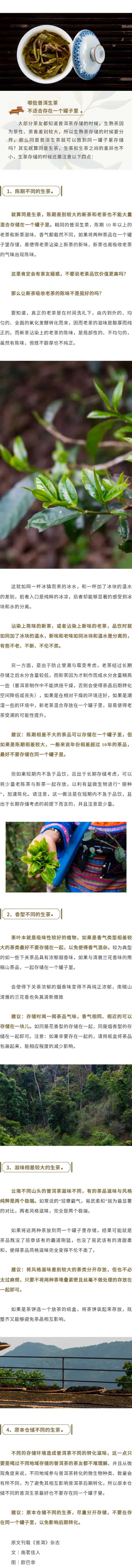 南茗佳人普洱茶