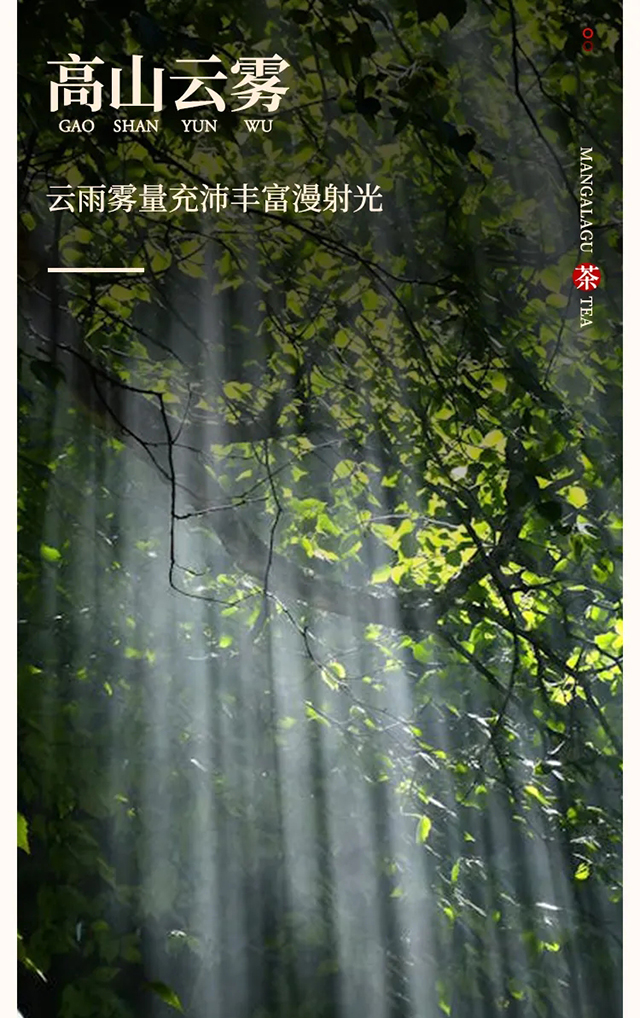 芒嘎拉邦盆普洱茶品质特点