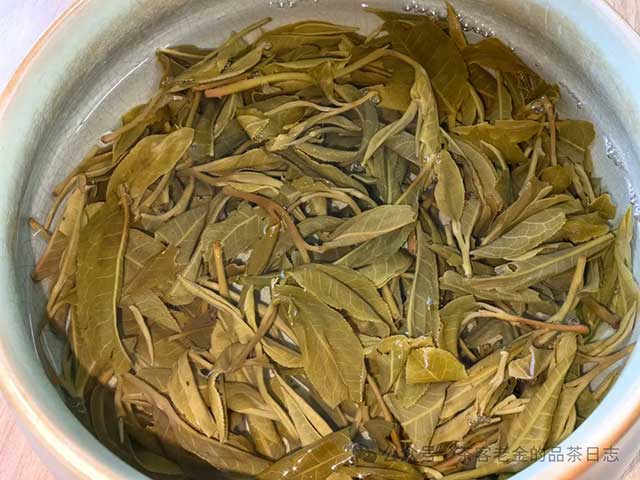 双弗山李建杰普洱茶