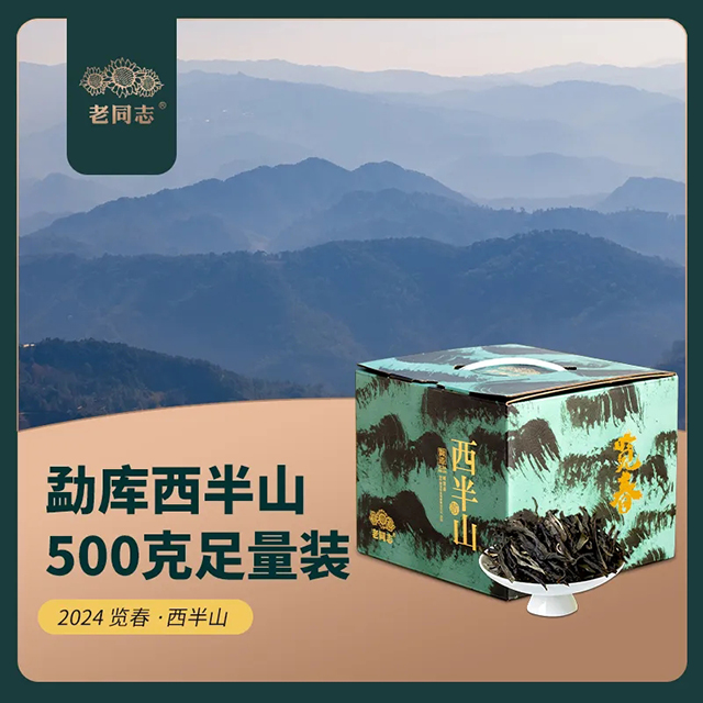 海湾茶业2024年春茶底价预售倒计时老同志旗舰店618