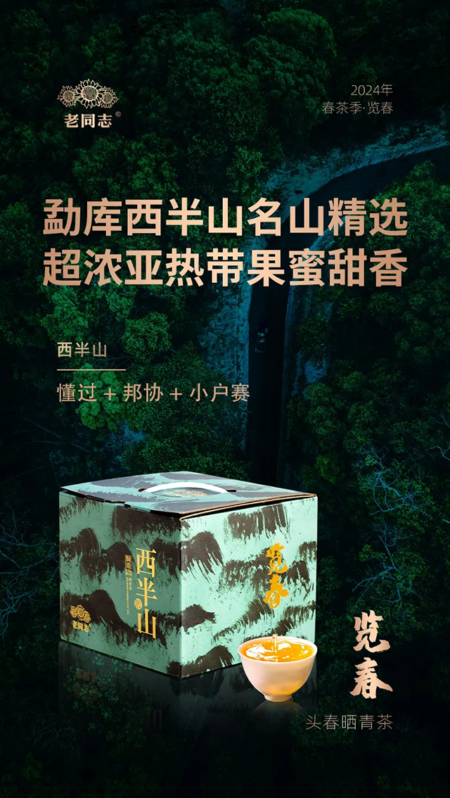 海湾茶业2024年春茶底价预售倒计时老同志旗舰店618