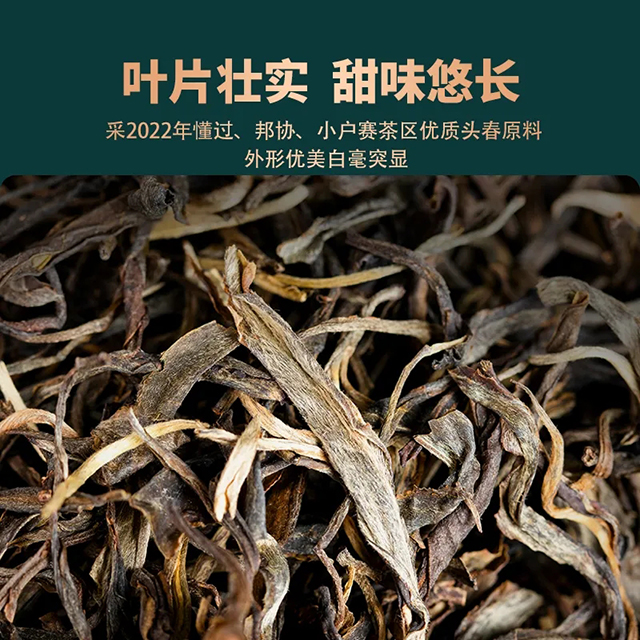 海湾茶业2024年春茶底价预售倒计时老同志旗舰店618