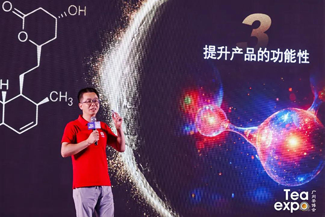 大益乔木老树