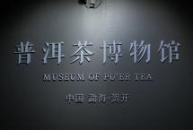 六大茶山：国际博物馆日丨六山出好茶，一馆藏精粹