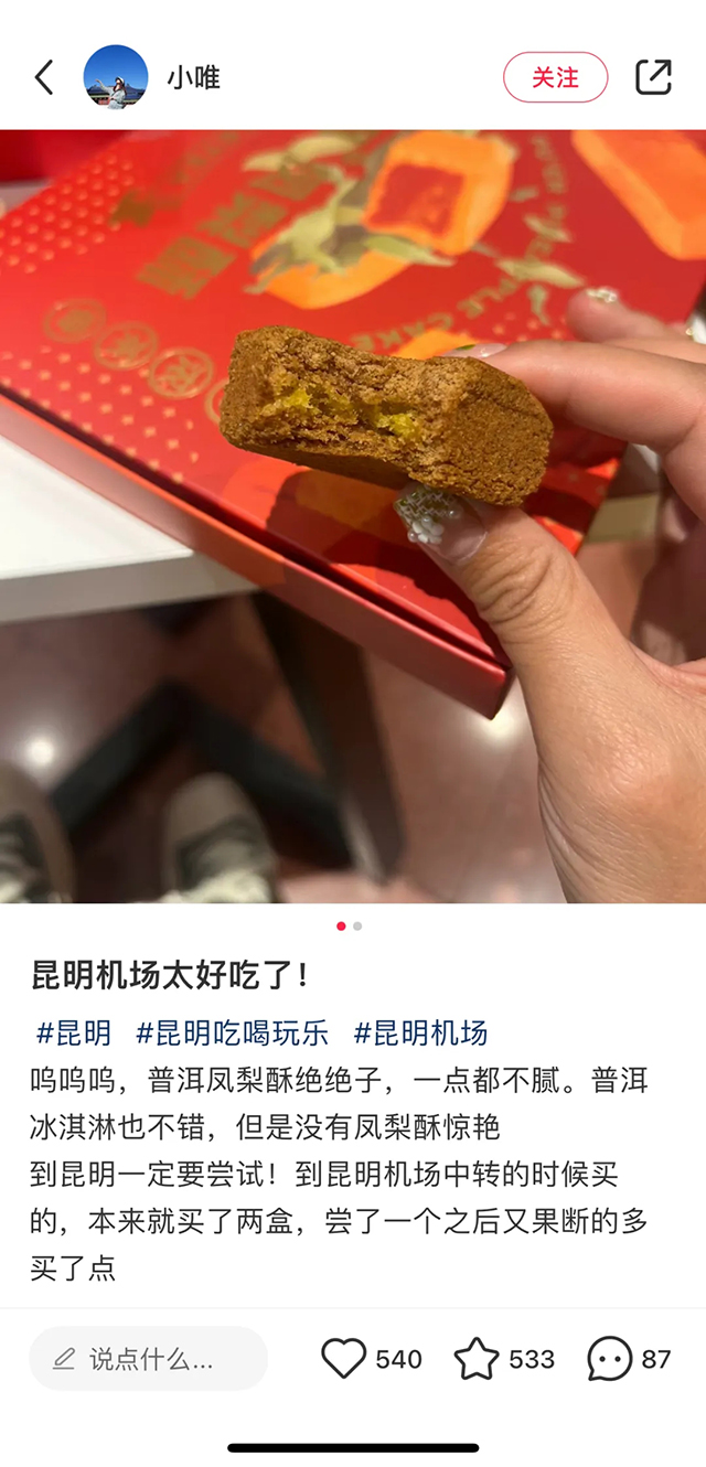 云南伴手礼大益普洱凤梨酥