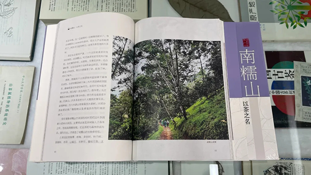 周重林新书南糯山以茶之名