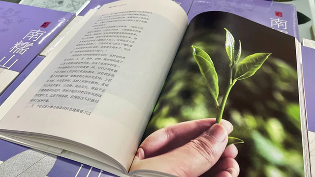 周重林新书南糯山以茶之名