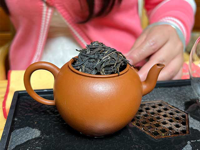 图为2010年易武刮风寨茶树王古树茶