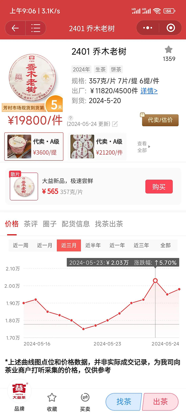 大益乔木老树