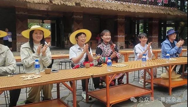 普洱杂志