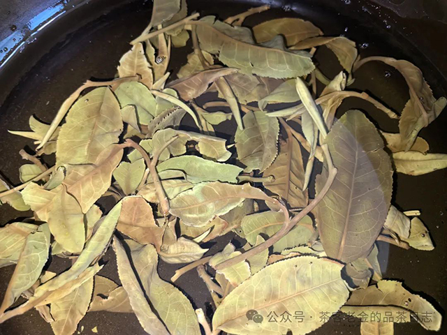 栩月古茶2024年云白曼松茶品品质特点