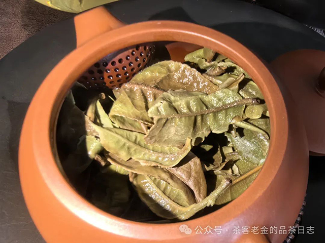 栩月古茶2024年云白曼松茶品品质特点