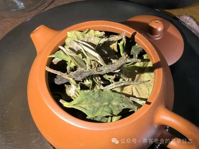 栩月古茶2024年云白曼松茶品品质特点