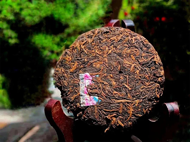 宝和祥虎洱熟