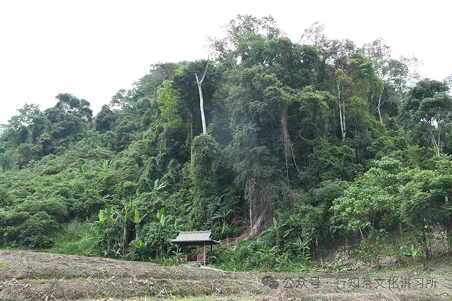 马哲峰大倚邦传奇