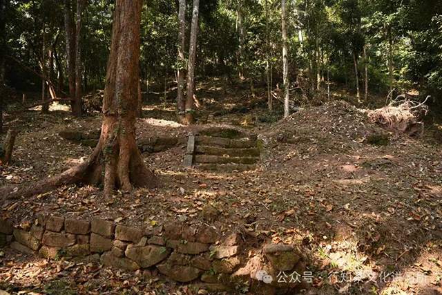 马哲峰大倚邦传奇