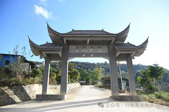 马哲峰大倚邦传奇