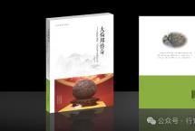 《大倚邦传奇》：象明四大茶山的最佳打开方式