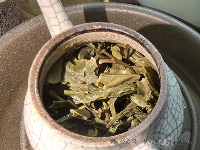 苦行茶僧笑我疯颠普洱茶