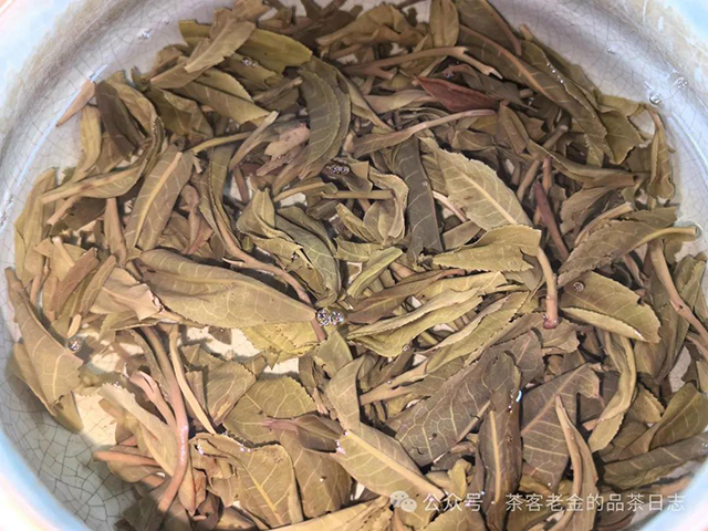 苦行茶僧笑我疯颠普洱茶