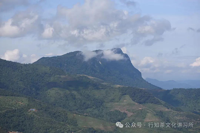 行知茶文化讲习所