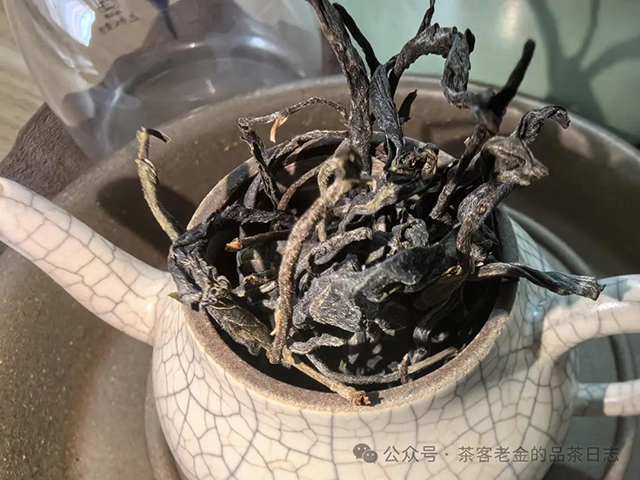 栩月古茶2024年无人区高杆普洱茶