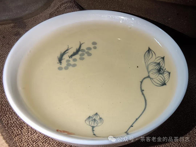 栩月古茶2024年无人区高杆普洱茶