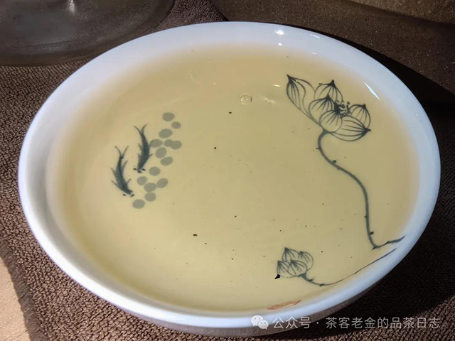 栩月古茶2024年无人区高杆普洱茶