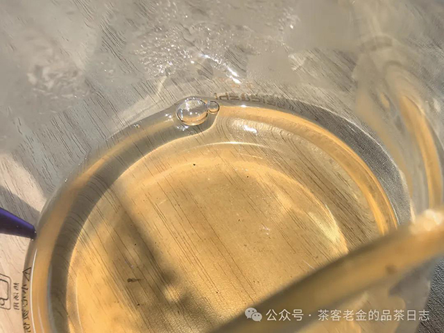 栩月古茶2024年无人区高杆普洱茶